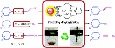 Graphical abstract: Pd complex of an NNN pincer ligand supported on γ-Fe2O3@SiO2 magnetic nanoparticles: a new catalyst for Heck, Suzuki and Sonogashira coupling reactions