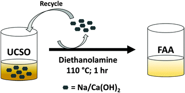 Graphical abstract: One step synthesis of fatty acid diethanolamides and methyl esters from triglycerides using sodium doped calcium hydroxide as a nanocrystalline heterogeneous catalyst