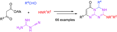 Graphical abstract: An efficient synthesis of 2,4,7-trisubstituted pyrimido[1,2-a][1,3,5]triazin-6-ones