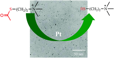 Graphical abstract: One-pot preparation of cationic charged Pt nanoparticles by the autocatalytic hydrolysis of acetylthiocholine