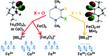 Graphical abstract: Tuning the oxidation state and magnetic and coordination behaviour of iron and cobalt complexes by O/S variation in mono-thio and dithio-oxamide chelating ligands