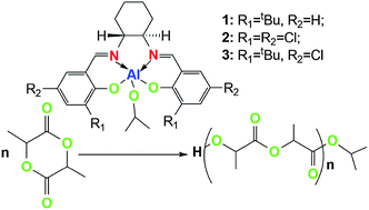 Graphical abstract: Ring-opening polymerization of lactide using chiral salen aluminum complexes as initiators: high productivity and stereoselectivity