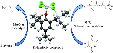 Graphical abstract: Zwitterionic group 4 aminophenolate catalysts for the polymerization of lactides and ethylene