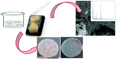 Graphical abstract: Characterization and behaviour of ZnO-based nanocomposites designed for the control of biodeterioration of patrimonial stoneworks