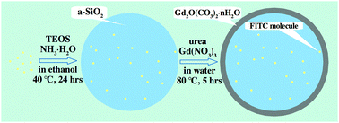 Graphical abstract: Fluorescein isothiocyanate embedded silica spheres in gadolinium carbonate shells as novel magnetic resonance imaging and fluorescence bi-modal contrast agents