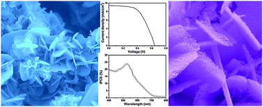 Graphical abstract: Highly porous ZnO nanosheets self-assembled in rosette-like morphologies for dye-sensitized solar cell application