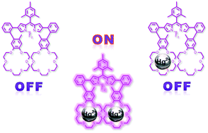 Graphical abstract: Biphenyl appended BODIPY derivatives showing combined environmental polarity and heavy metal cation sensing functionality