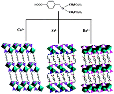 Graphical abstract: Synthesis, structures, luminescent and molecular recognition properties of three new alkaline earth metal carboxyphosphonates with a 3D supramolecular structure