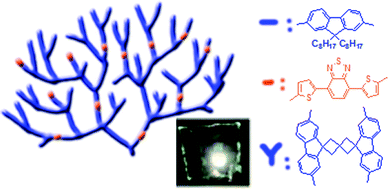 Graphical abstract: Fluorene-based hyperbranched copolymers with spiro[3.3]heptane-2,6-dispirofluorene as the conjugation-uninterrupted branching point and their application in WPLEDs