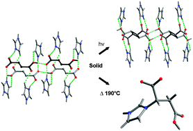 Graphical abstract: A novel example of double reactivity by either photochemical [2+2] or thermal additions of an ionic organic supramolecular assembly