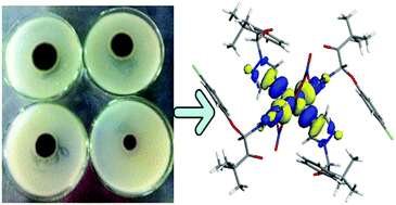Graphical abstract: Two Cu(ii) complexes of triadimefon: crystal structure, antifungal activities and structure–activity relationship