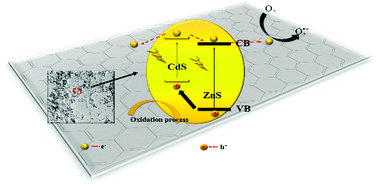 Graphical abstract: Enhanced photocatalytic degradation of tetracycline antibiotics by reduced graphene oxide–CdS/ZnS heterostructure photocatalysts