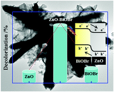 Graphical abstract: Enhanced solar light-driven photocatalytic activity of BiOBr–ZnO heterojunctions with effective separation and transfer properties of photo-generated chargers