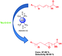 Graphical abstract: Industrial resin “INDION 130” modified with vanadyl cations as highly efficient heterogeneous catalyst for epoxidation of fatty compounds with TBHP as oxidant