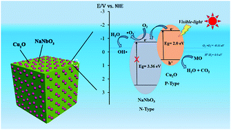 Graphical abstract: Excellent visible-light-driven photocatalytic performance of Cu2O sensitized NaNbO3 heterostructures