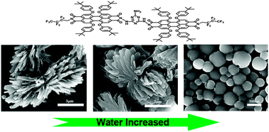 Graphical abstract: Morphology-controlled self-assembly of an amphiphilic perylenetetracarboxylic diimide dimer-based semiconductor: from flower clusters to hollow spheres