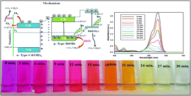 Graphical abstract: Efficient visible light photocatalytic activity and enhanced stability of BiOBr/Cd(OH)2 heterostructures