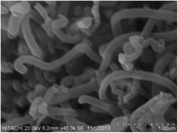 Graphical abstract: Carbon nanofibers decorated with magnetic nanoparticles as a new sorbent for the magnetic solid phase extraction of selected polycyclic aromatic hydrocarbons from water samples