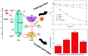 Graphical abstract: Preparation of network-like ZnO–FeWO4 mesoporous heterojunctions with tunable band gaps and their enhanced visible light photocatalytic performance