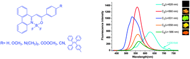 Graphical abstract: Study on the solution and solid-state fluorescence of novel BF2 complexes with (Z)-2-[phenanthridin-6(5H)-ylidene]-1-phenylethanone and its derivatives as ligands