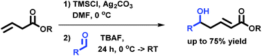 Graphical abstract: One-pot vinylogous aldol addition of β,γ-unsaturated esters under mild conditions