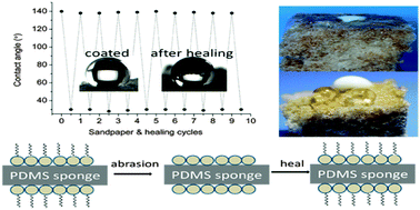 Graphical abstract: Mussel-inspired one-step modification of a porous structured surface with self-cleaning properties for oil sorption