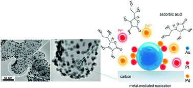 Graphical abstract: Synthesis of Pt and bimetallic PtPd nanostructures on Au nanoparticles for use as methanol tolerant oxygen reduction reaction catalysts