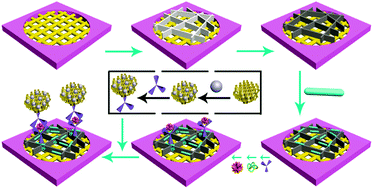 Graphical abstract: Application of CuS-functionalized ZnO nanoflakes for a paper-based photoelectrochemical immunoassay using an in situ electron donor producing strategy