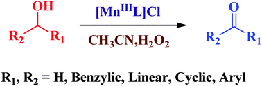 Graphical abstract: Synthesis, characterization, reactivity and catalytic activity of a novel chiral manganese Schiff base complex