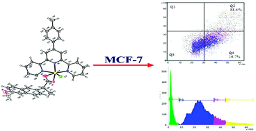 Graphical abstract: Structural modeling, in vitro antiproliferative activity, and the effect of substituents on the DNA fastening and scission actions of heteroleptic copper(ii) complexes with terpyridines and naproxen