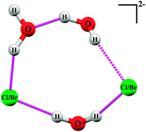 Graphical abstract: Interaction of 2,4,6-tris(2-pyrimidyl)-1,3,5-triazine (TPymT) with CoX2 (X = Cl, Br) in water: trapping of new self-assembled water–chloride/bromide clusters in a [Co(bpca)2]+ host (bpca = bis(2-pyrimidylcarbonyl)amidate anion)