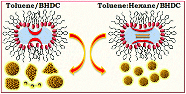 Graphical abstract: The impact of the polar core size and external organic media composition on micelle–micelle interactions: the effect on gold nanoparticle synthesis