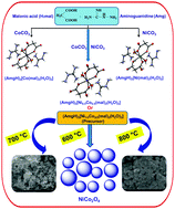 Graphical abstract: Isomorphic metal malonates with N-aminoguanidine: MCo2O4 (M = Ni & Zn) nanoparticle synthesis via a (AmgH)2[M1/3Co2/3(mal)2(H2O)2] precursor solid solution