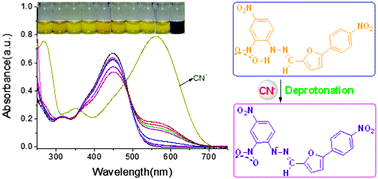 Graphical abstract: Colorimetric probes designed to provide high sensitivity and single selectivity for CN− in aqueous solution
