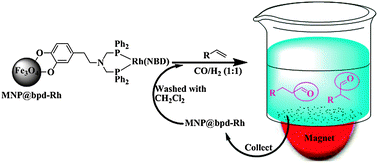 Graphical abstract: The rhodium complex of bis(diphenylphosphinomethyl)dopamine-coated magnetic nanoparticles as an efficient and reusable catalyst for hydroformylation of olefins
