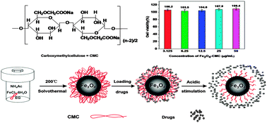 Graphical abstract: Facile synthesis of magnetic carboxymethylcellulose nanocarriers for pH-responsive delivery of doxorubicin