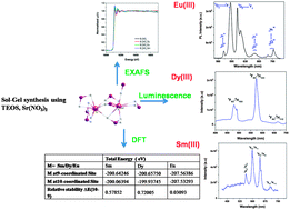 Graphical abstract: An insight into local environment of lanthanide ions in Sr2SiO4:Ln (Ln = Sm, Eu and Dy)
