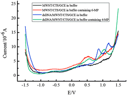 Graphical abstract: Electrochemical sensors based on multi-walled nanotubes for investigating the damage and action of 6-mercaptopurine on double-stranded DNA