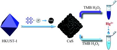 Graphical abstract: Fabrication of copper sulfide using a Cu-based metal organic framework for the colorimetric determination and the efficient removal of Hg2+ in aqueous solutions