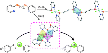 Graphical abstract: Metal complexes with bis(2-pyridyl)diselenoethers: structural chemistry and catalysis