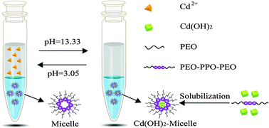 Graphical abstract: A novel cyclic non-ligand dual-cloud point extraction for the preconcentration of cadmium(ii) through pH regulation in food and environmental matrices