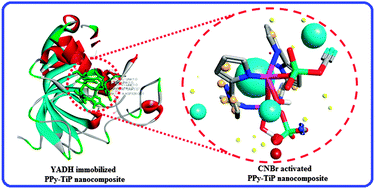 Graphical abstract: Enzyme immobilization and molecular modeling studies on an organic–inorganic polypyrrole–titanium(iv)phosphate nanocomposite