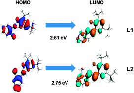 Graphical abstract: Spectral, theoretical characterization and antifungal properties of two phenol derivative Schiff bases with an intramolecular hydrogen bond