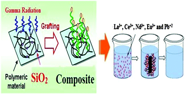 Graphical abstract: Synthesis, characterization and application of a modified acrylamide–styrene sulfonate resin and a composite for sorption of some rare earth elements