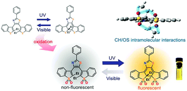 Graphical abstract: Experimental and theoretical investigation of tetra-oxidized terarylenes with high-contrast fluorescence switching