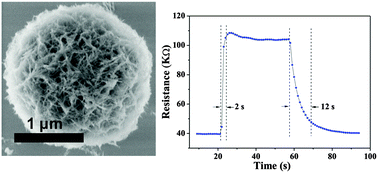 Graphical abstract: Synthesis of dandelion-like NiO hierarchical structures assembled with dendritic units and their performances for ethanol gas sensing