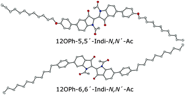 Graphical abstract: Planar and distorted indigo as the core motif in novel chromophoric liquid crystals