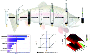 Graphical abstract: Magnetic nanoparticle based dispersive micro-solid-phase extraction for the determination of malachite green in water samples: optimized experimental design