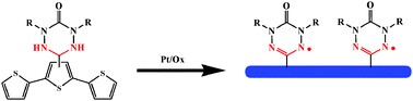 Graphical abstract: Electrosynthesis and characterization of stable radical-functionalized oligo/polythiophenes