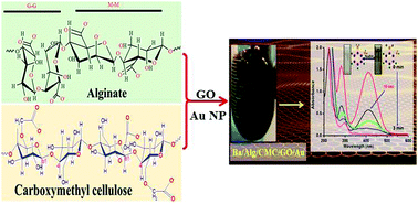 Graphical abstract: Fabrication of hierarchically organized nanocomposites of Ba/alginate/carboxymethylcellulose/graphene oxide/Au nanoparticles and their catalytic efficiency in o-nitroaniline reduction